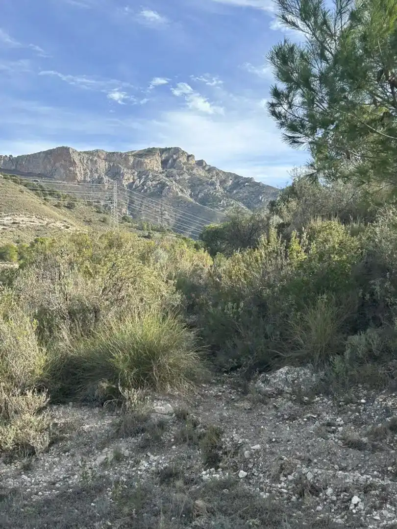 Finca rústica en venda en Tibi