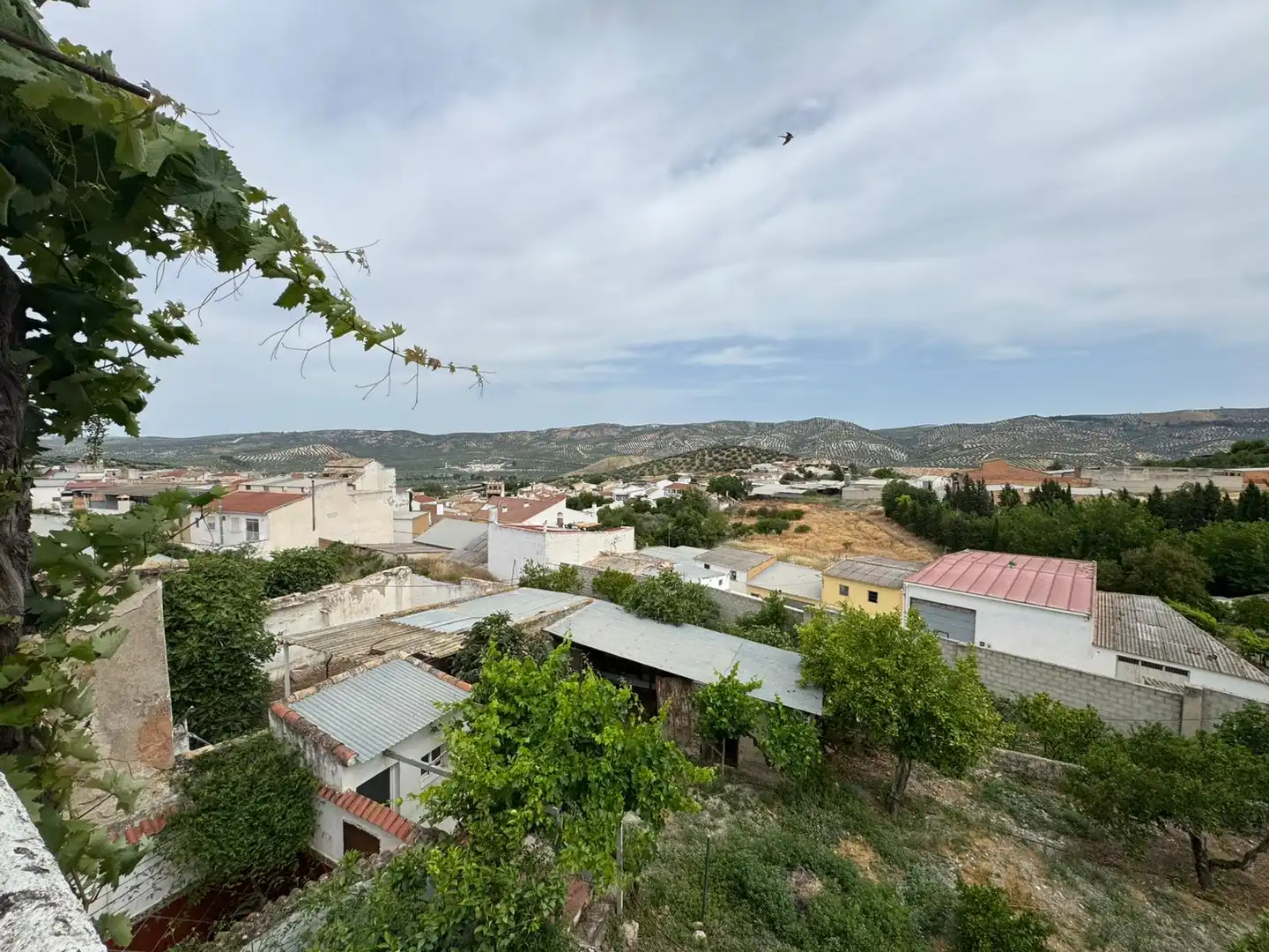 Haus mit Garten zum Verkauf in Cuevas de San Marcos, imagen 25