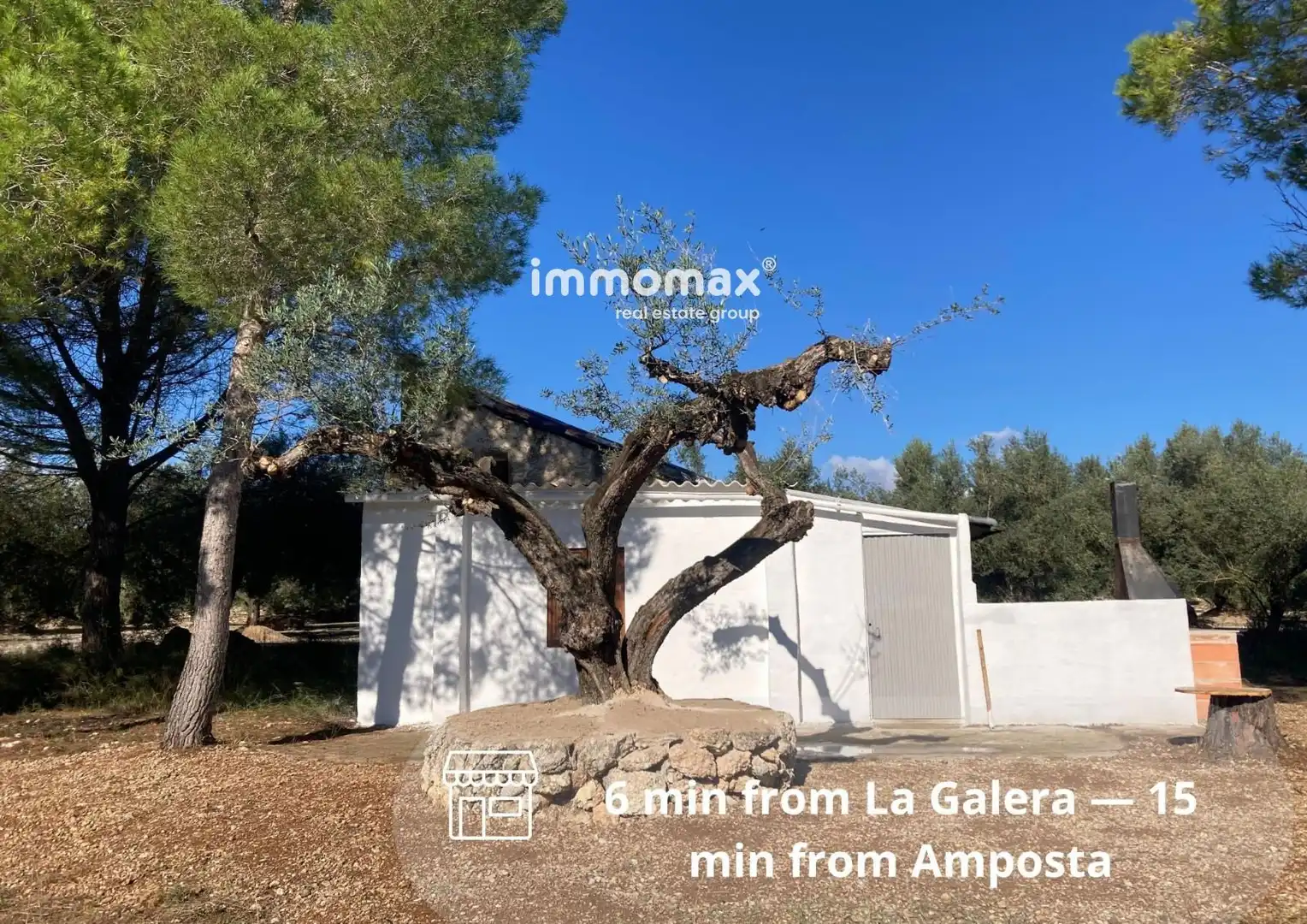 Rural land for sale in Godall, imagen 3