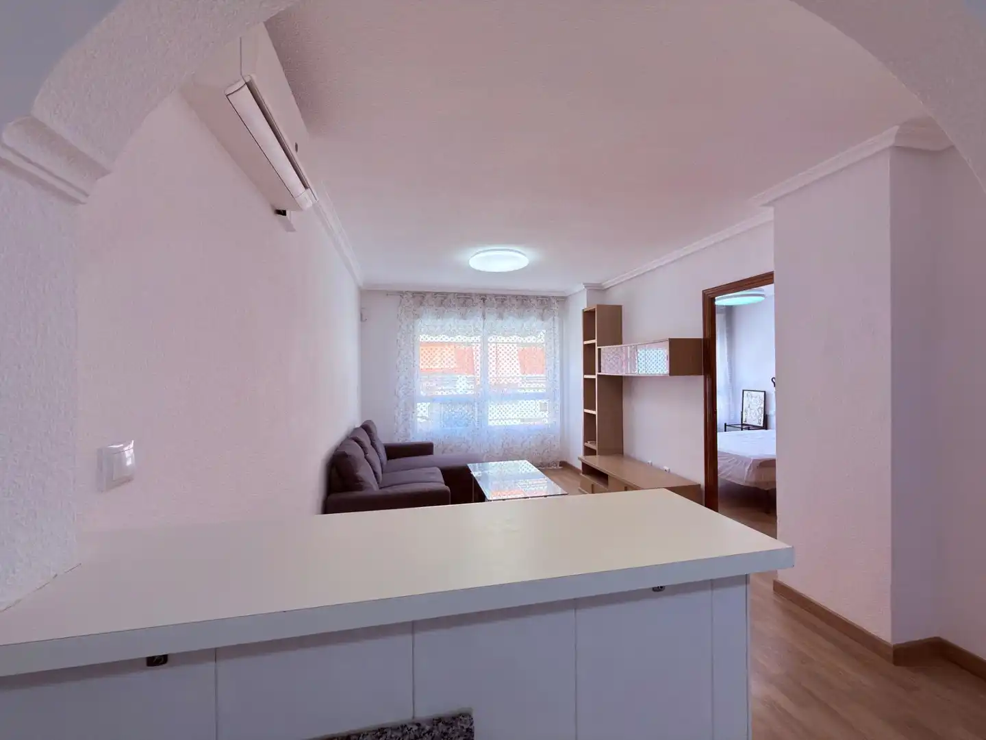 Sala d'estar de Apartament en venda en Alicante / Alacant amb Aire condicionat i Moblat