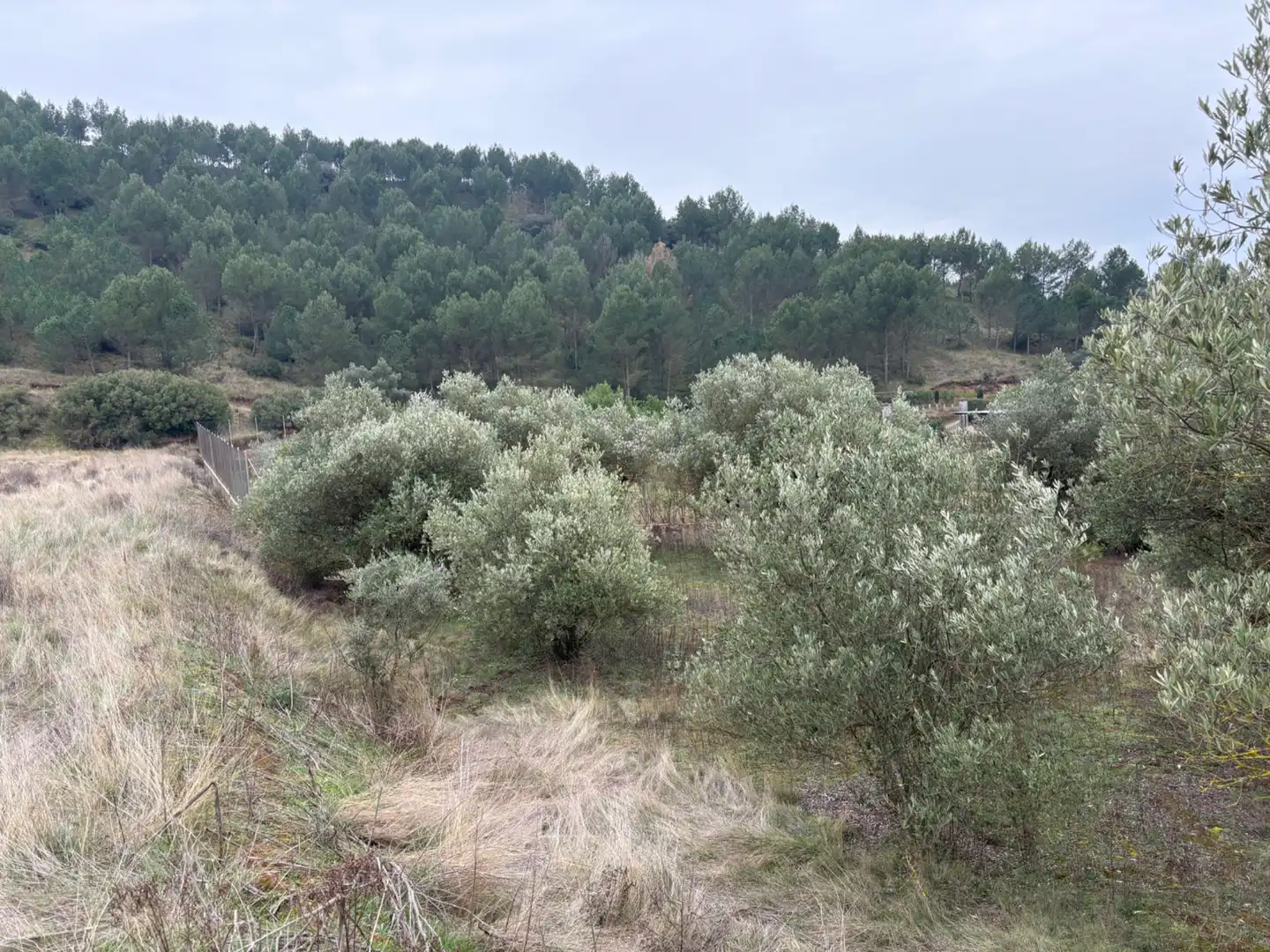 Terreno rústico en venta en Lardero