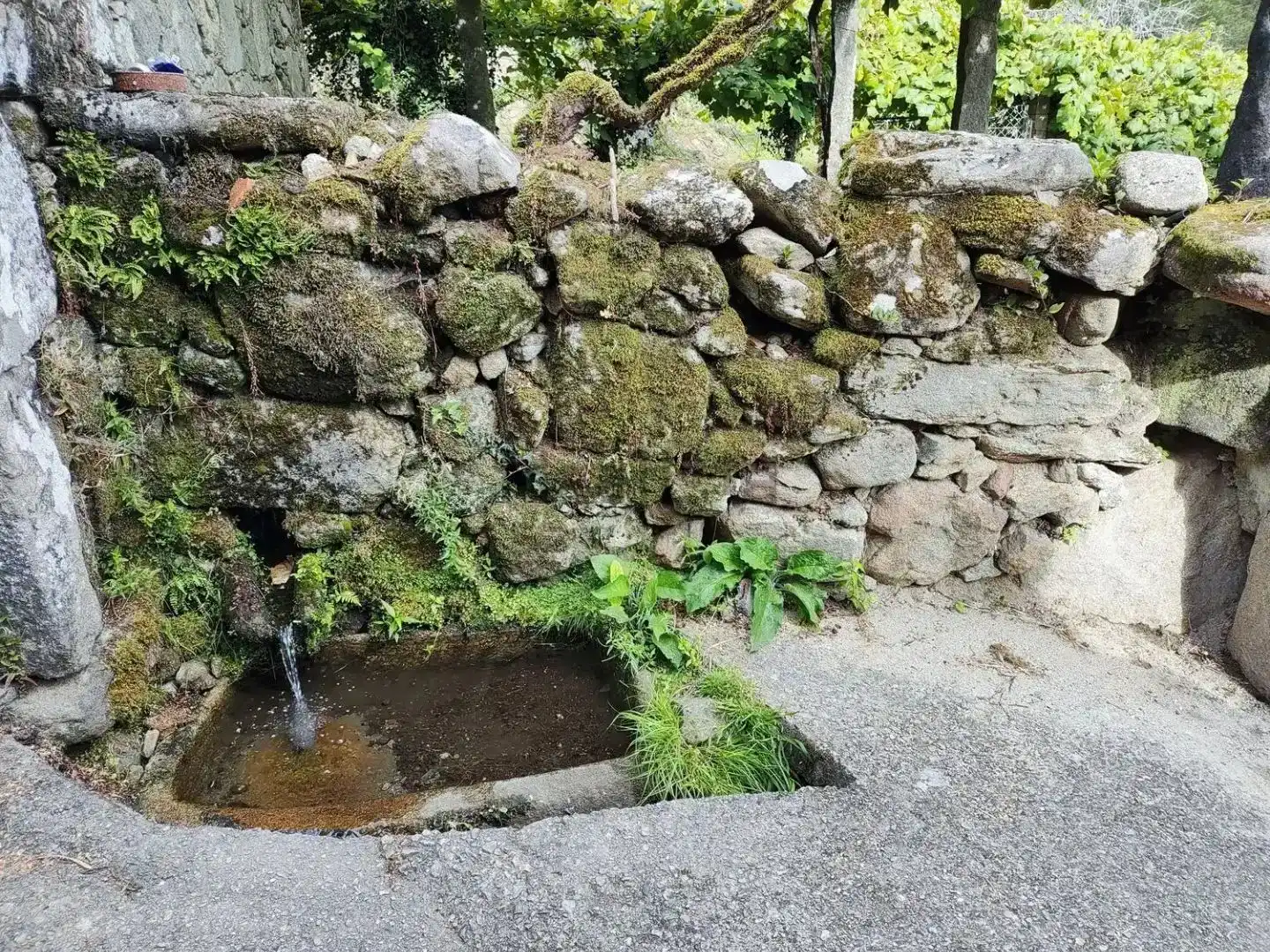 Jardí de Casa o xalet en venda en Dodro