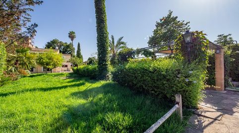 EXCLUSIVA FINCA RÚSTICA EN SECAR DE LA REAL VIVIENDA CON PISCINA Y NAVE AGRICOLA, imatge 2