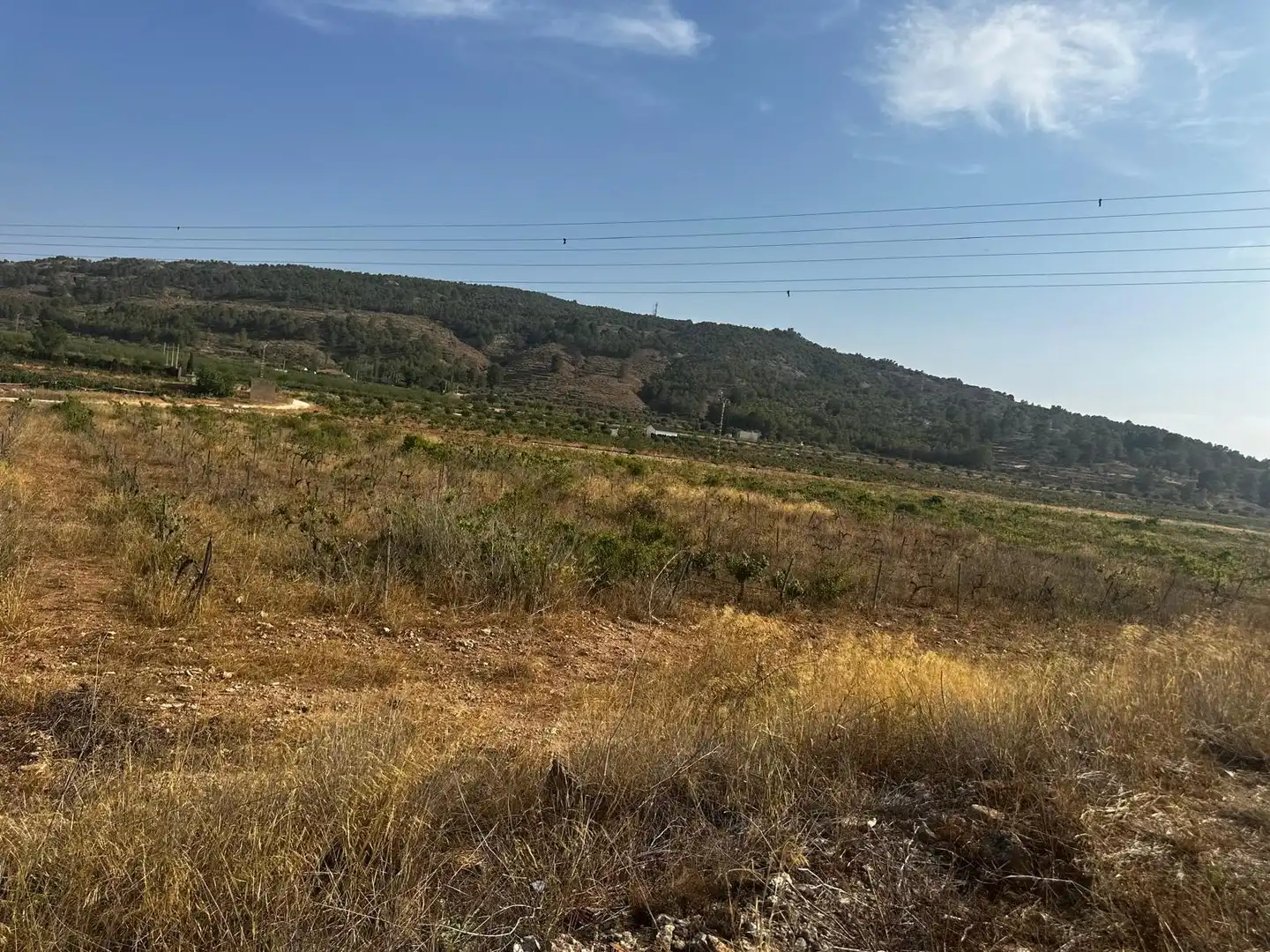 Terreno residencial en venta en El Pinós / Pinoso, imagen 15