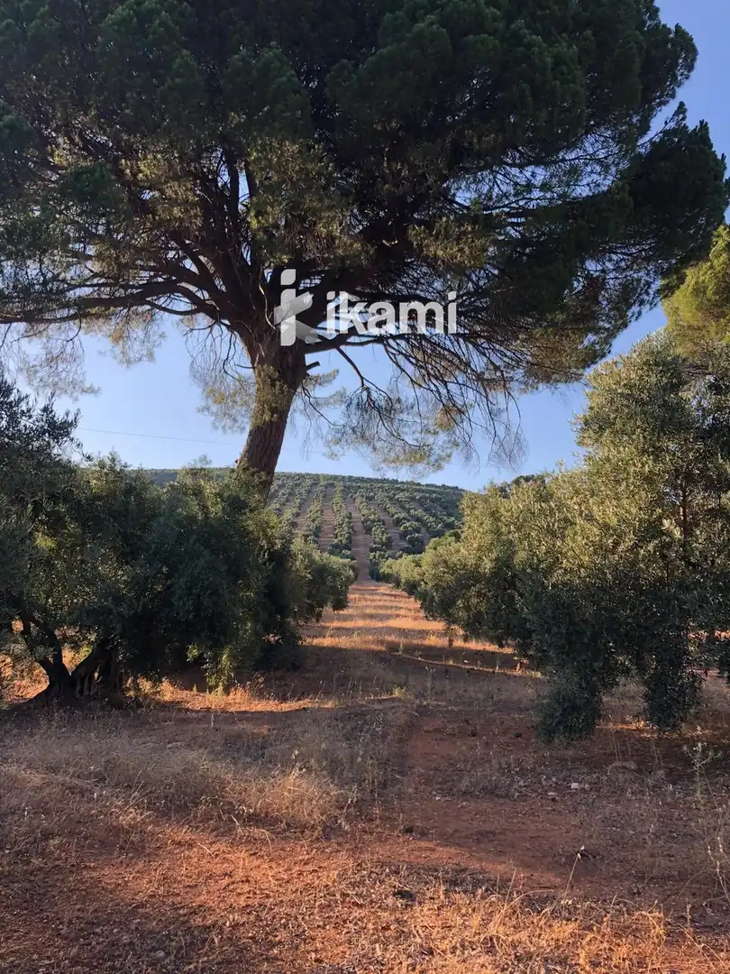 Residential for sale in Beas de Segura