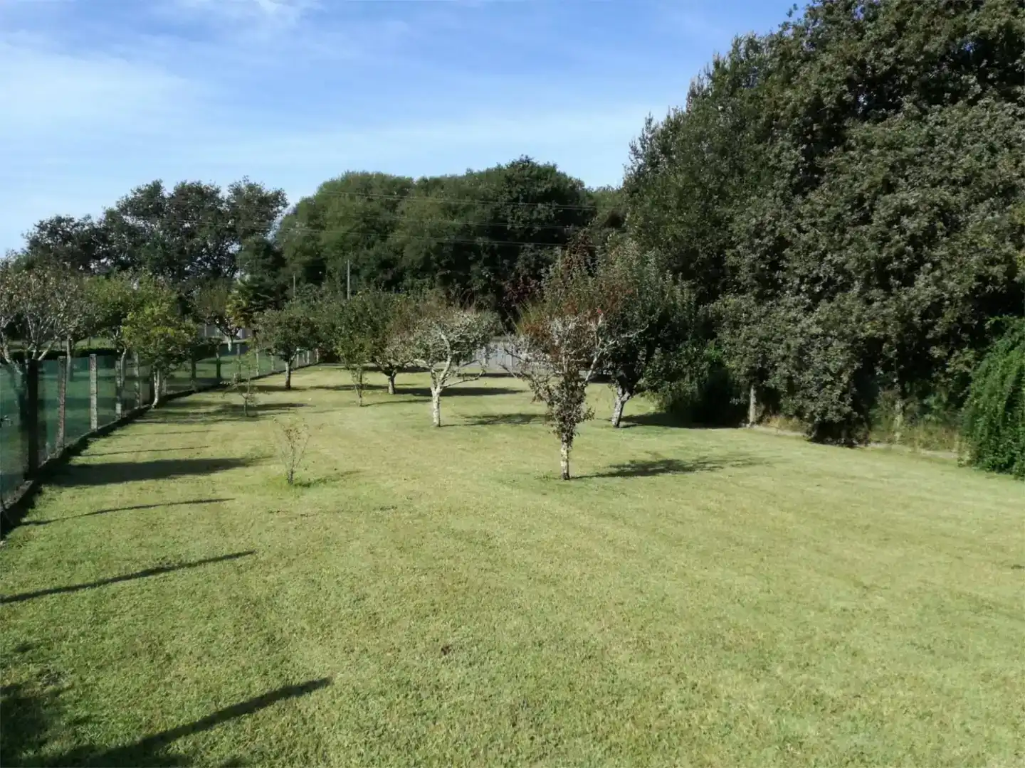 Land for sale in Nigrán