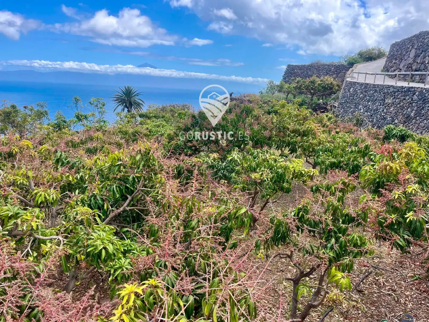 Grundstücke zum Verkauf in Agulo
