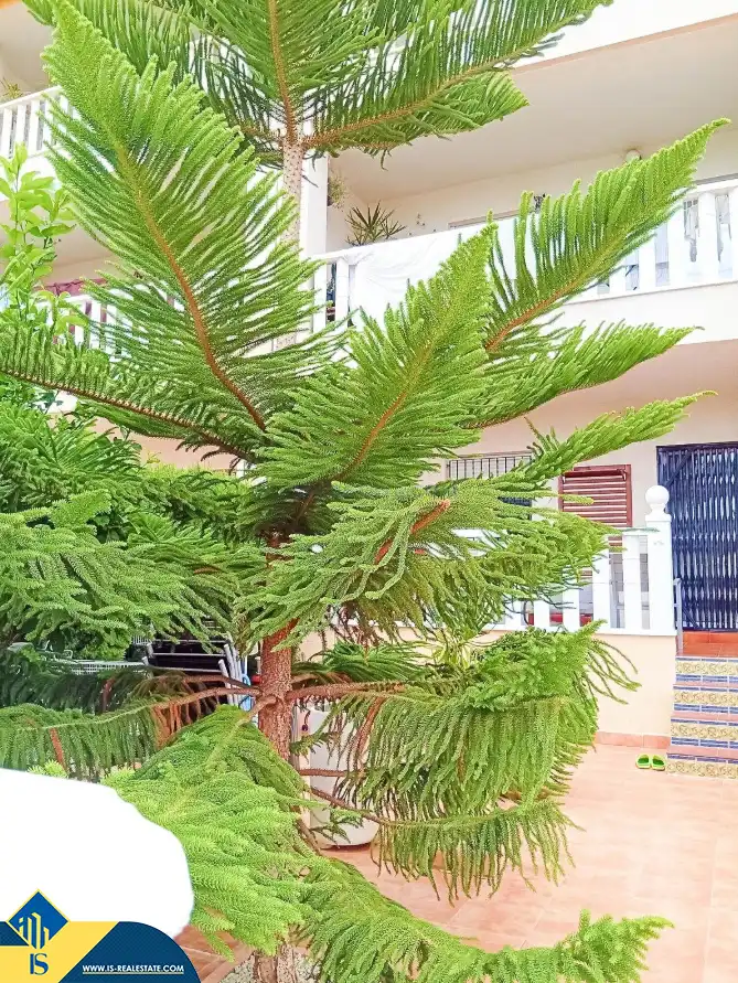 Bungalow mit Pool zum Verkauf in Orihuela Costa, imagen 13