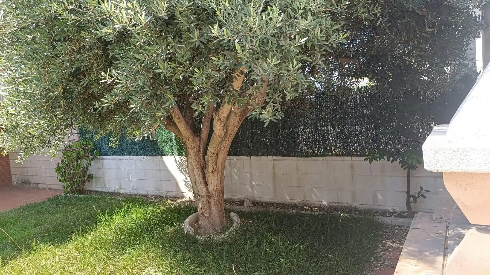 Jardí de Casa adosada en venda en Vilanova i la Geltrú amb Calefacció i Jardí privat