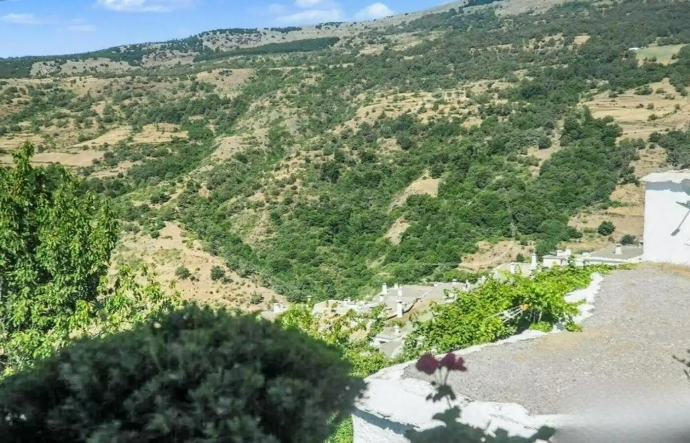 Garden of Houses for sale in Capileira