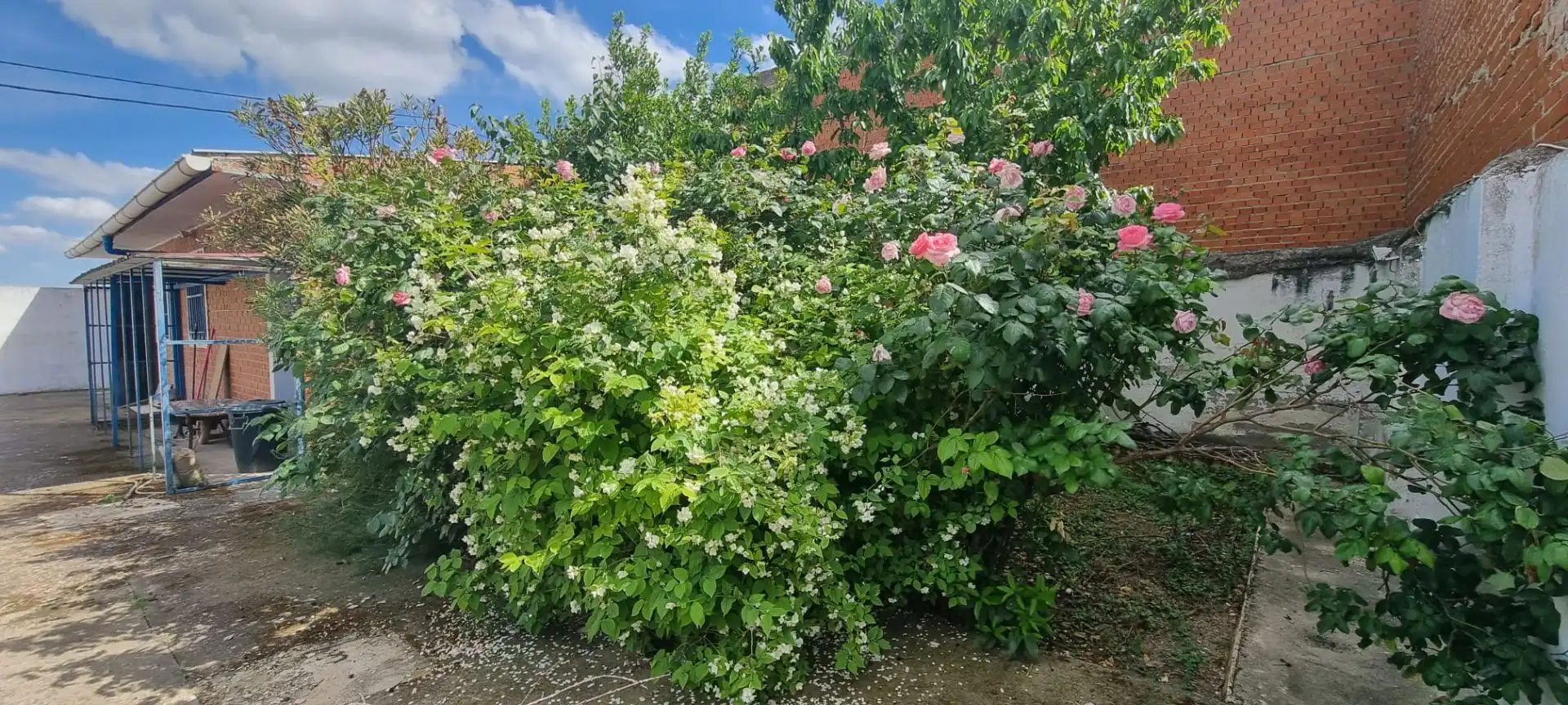 Finca rústica en venta en Gerindote con Calefacción y Amueblado