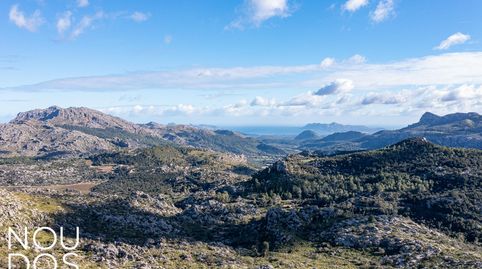 Finca mallorquina en Pollensa con vistas al mar y a la Sierra., imatge 2