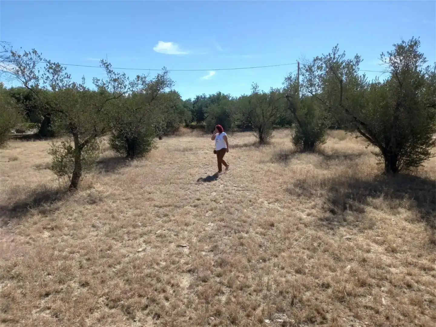Terreno en venta en Las Tres Villas, Almería