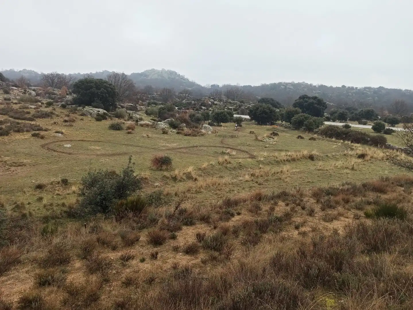 Terreno rustico in vendita a Zarzalejo, imagen 4