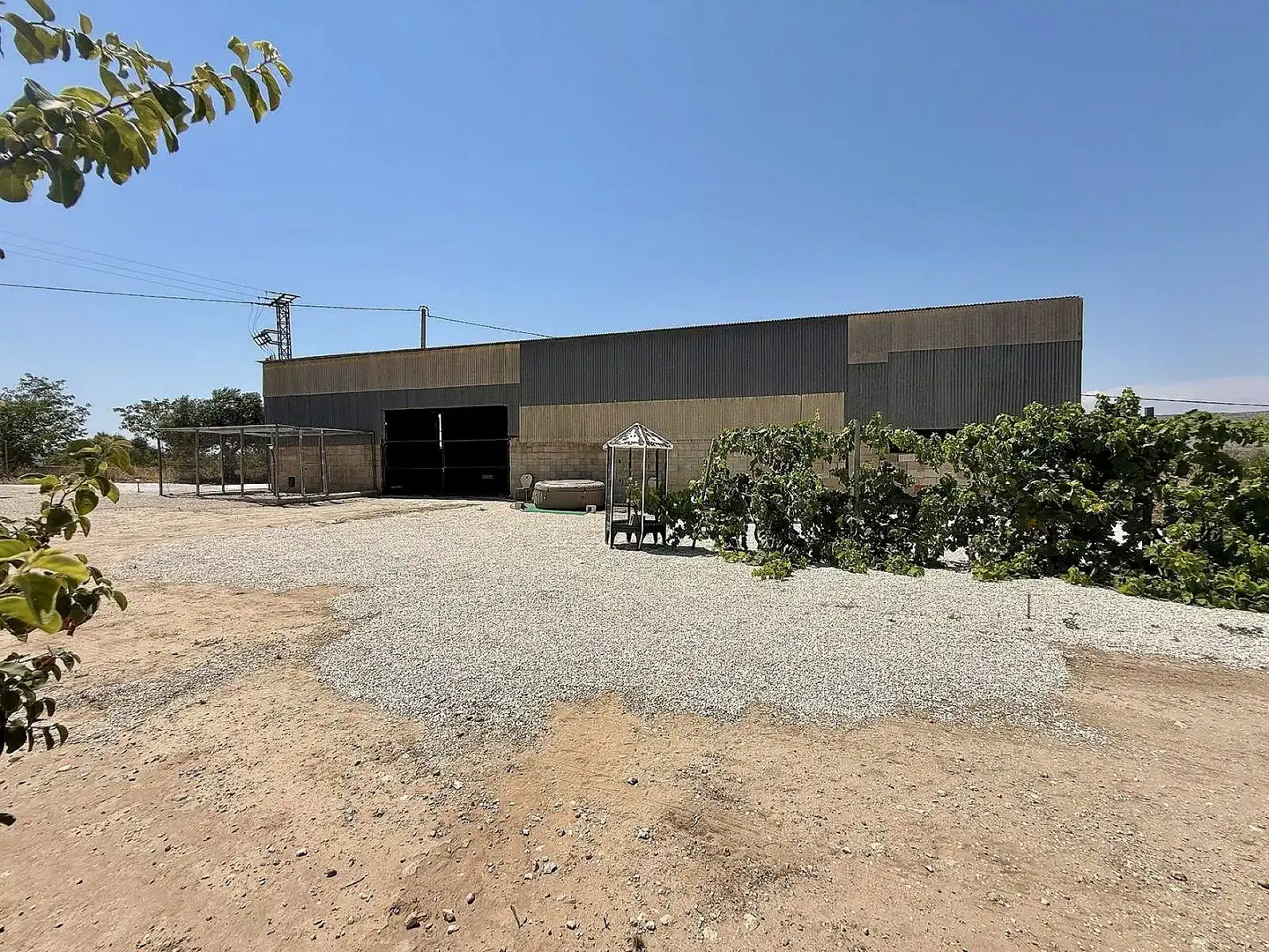 Vista exterior de Finca rústica en venda en Villena