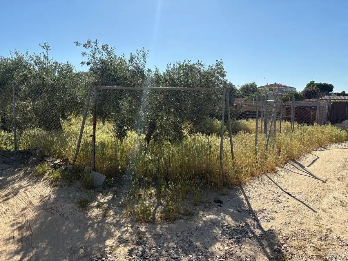 Terreni e lotti in vendita a Bollullos Par del Condado, imagen 6
