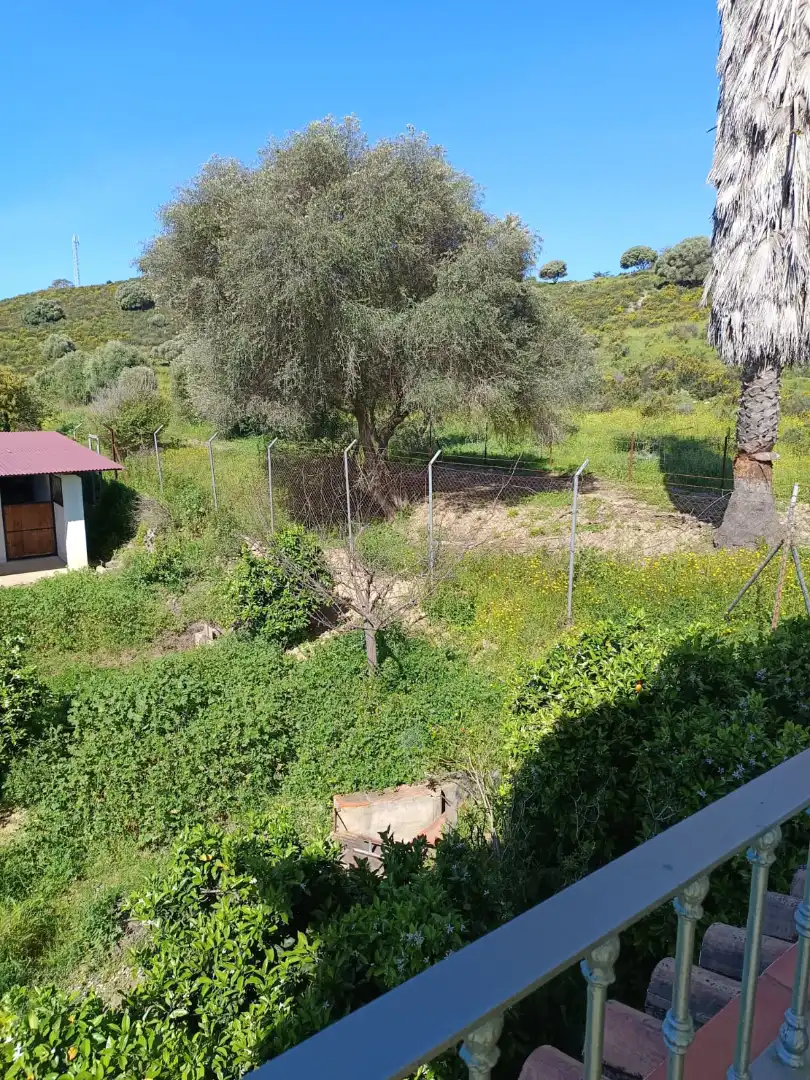 Land for sale in Algeciras