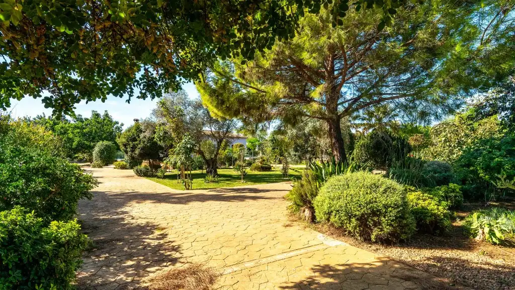 Maison rustique avec jardin à vendre à Binissalem, imagen 16