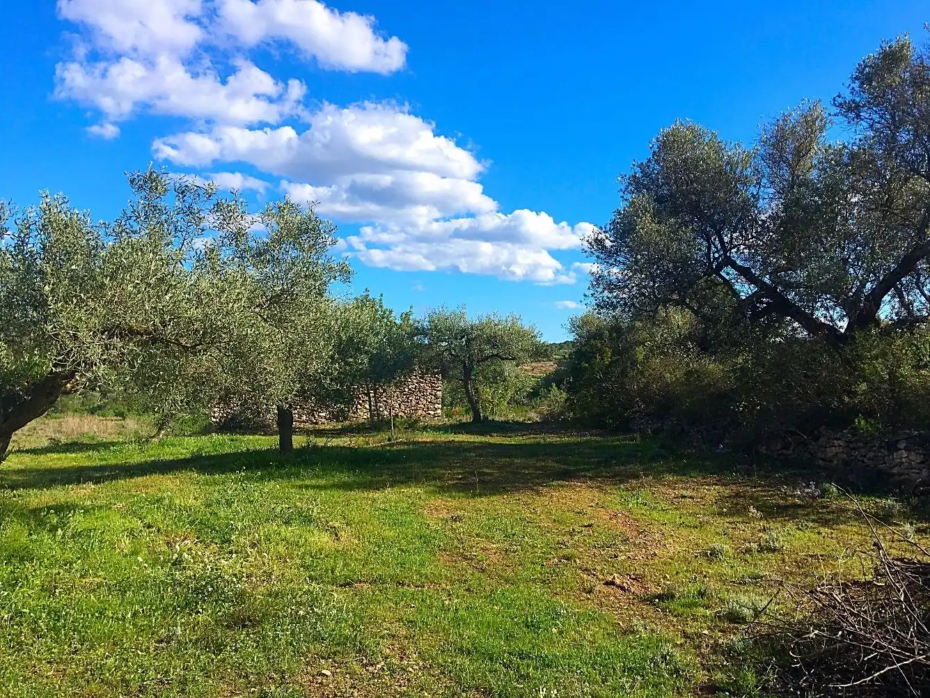 Casa rustica in vendita a Rasquera, imagen 4