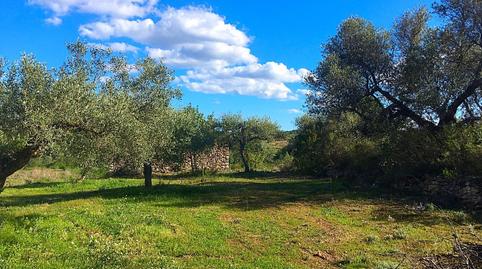 Foto 4 von Country house zum Verkauf in Rasquera, Tarragona