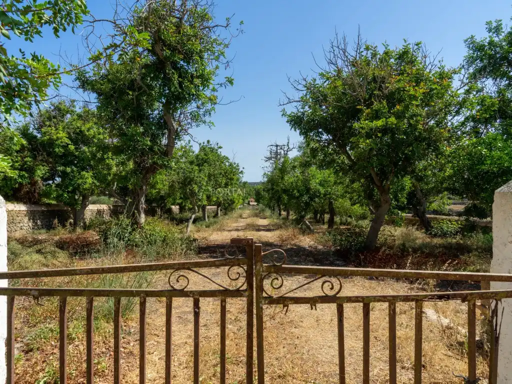 Maison rustique à vendre à Camí d'En Kane, Santa Rosa de Llima, imagen 12