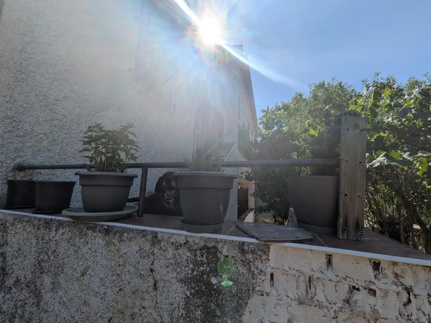 Xalet amb jardí en venda a Loranca de Tajuña, imagen 55