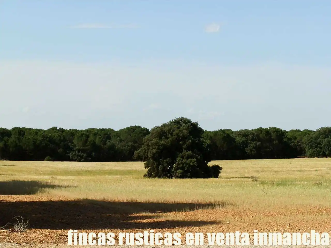 Terreni e lotti in vendita a Pozoamargo