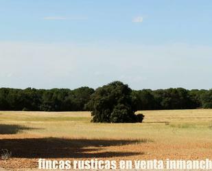 Land for sale in Pozoamargo