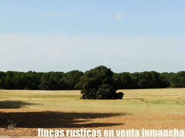 Terrain rustique à vendre à Pozoamargo