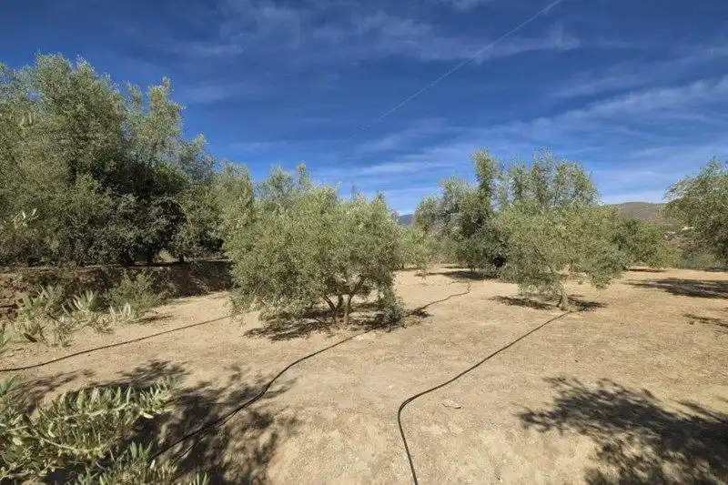 Terreno rustico in vendita a El Valle, imagen 10