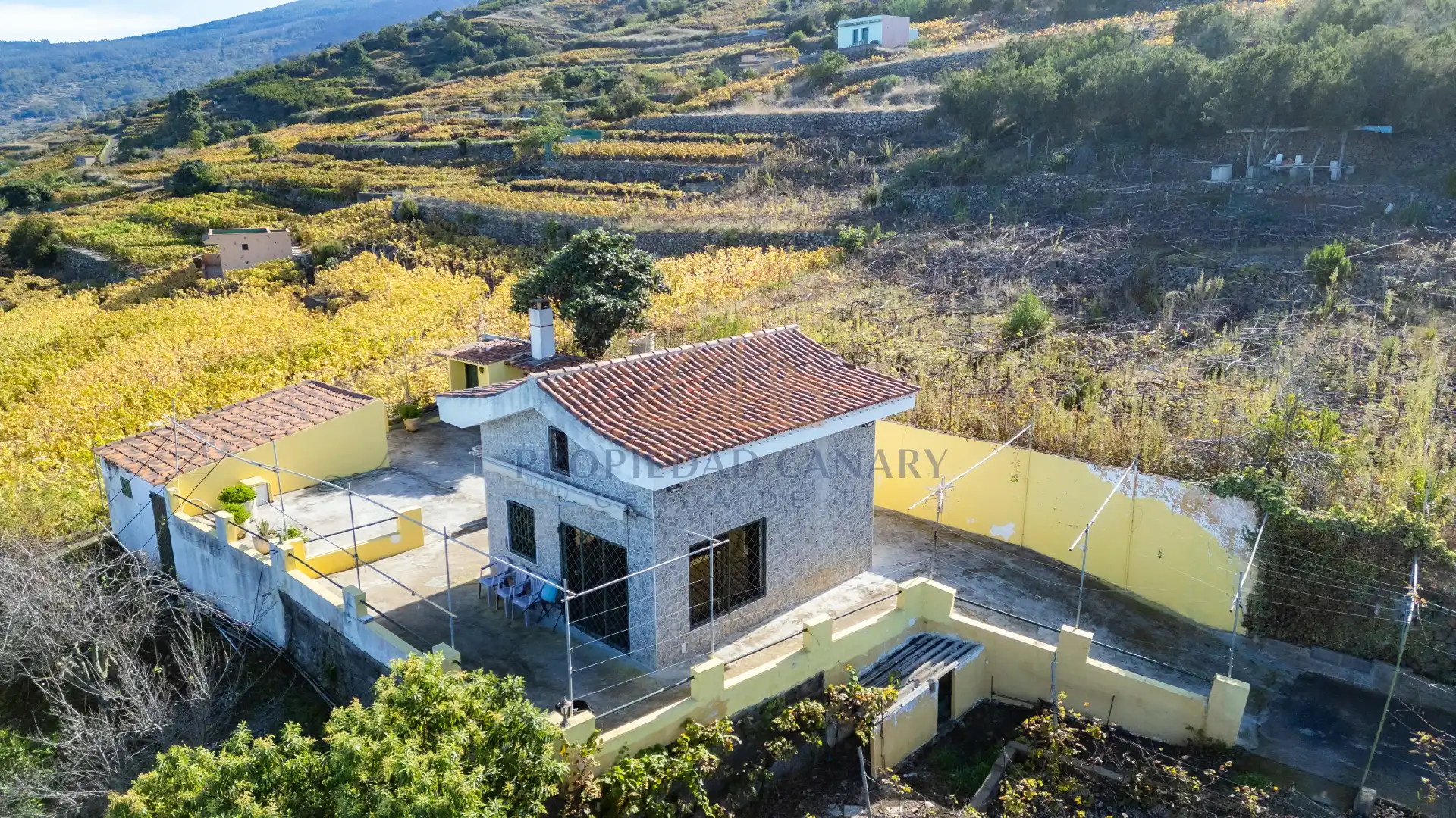 Finca rústica en venda en Santa Úrsula amb Terrassa