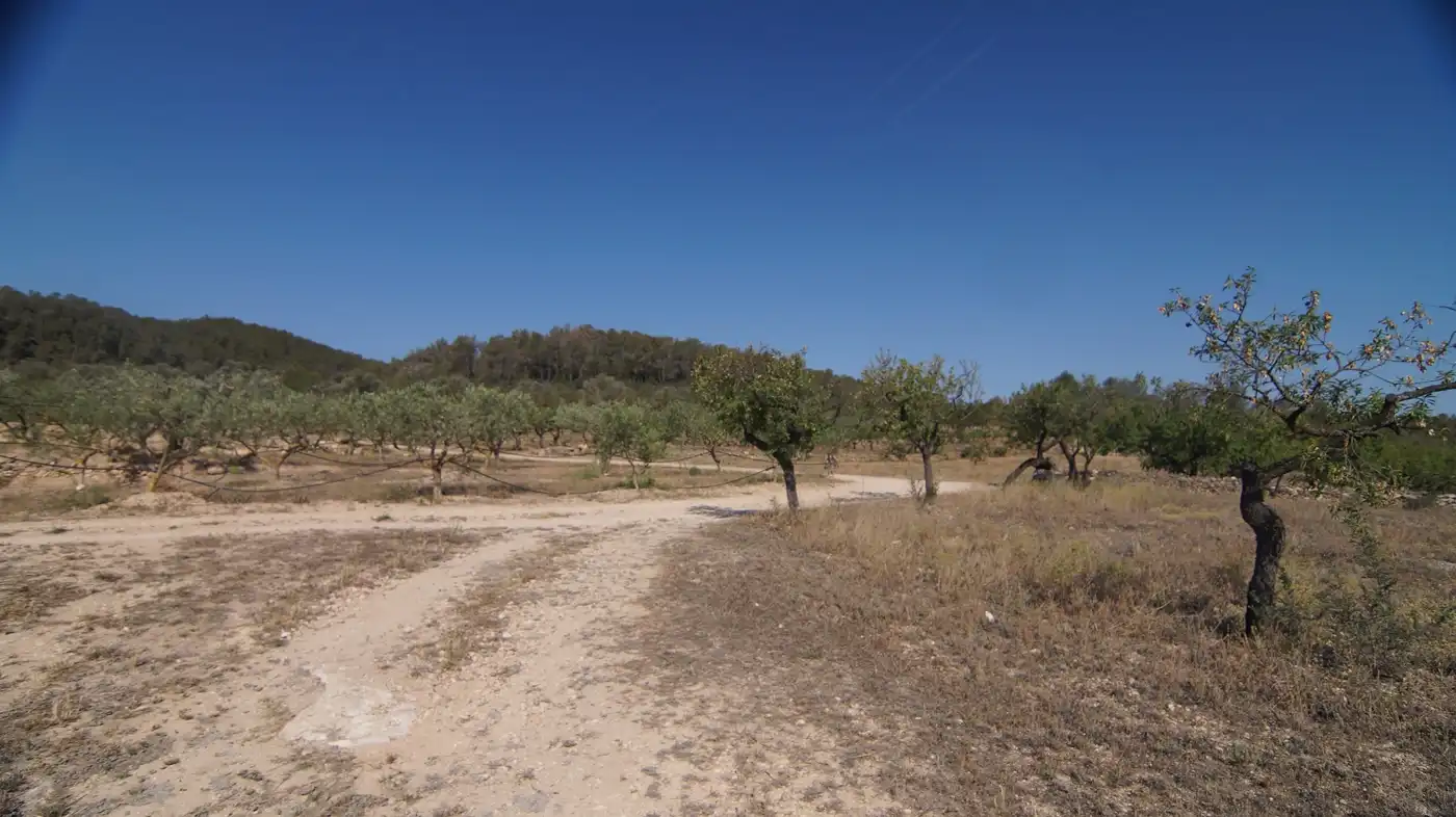 Finca rústica en venda a Miravet