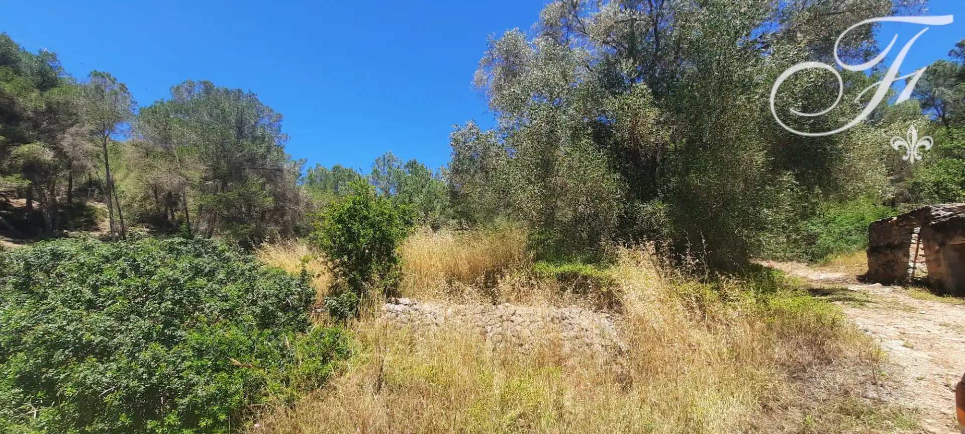 Terreny rústic en venda a Sant Jordi de Ses Salines-Sant Francesc, imagen 6