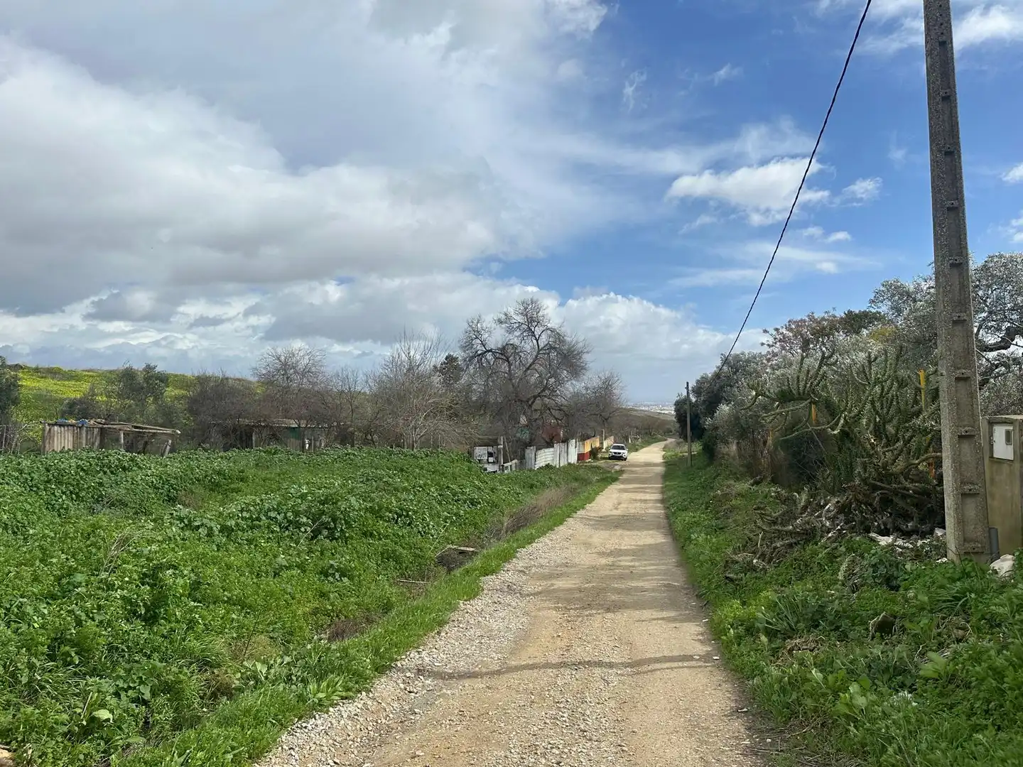 Terreni e lotti in vendita a Calle Caño Ronco Este