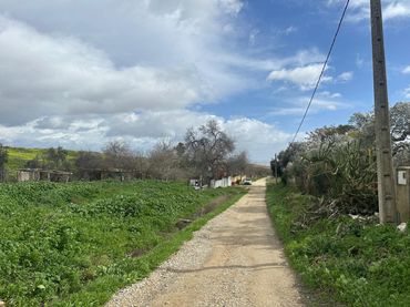 Terrain rustique à vendre à Calle Caño Ronco Este