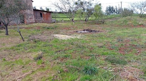 CarreñoTerreno, imagen 2