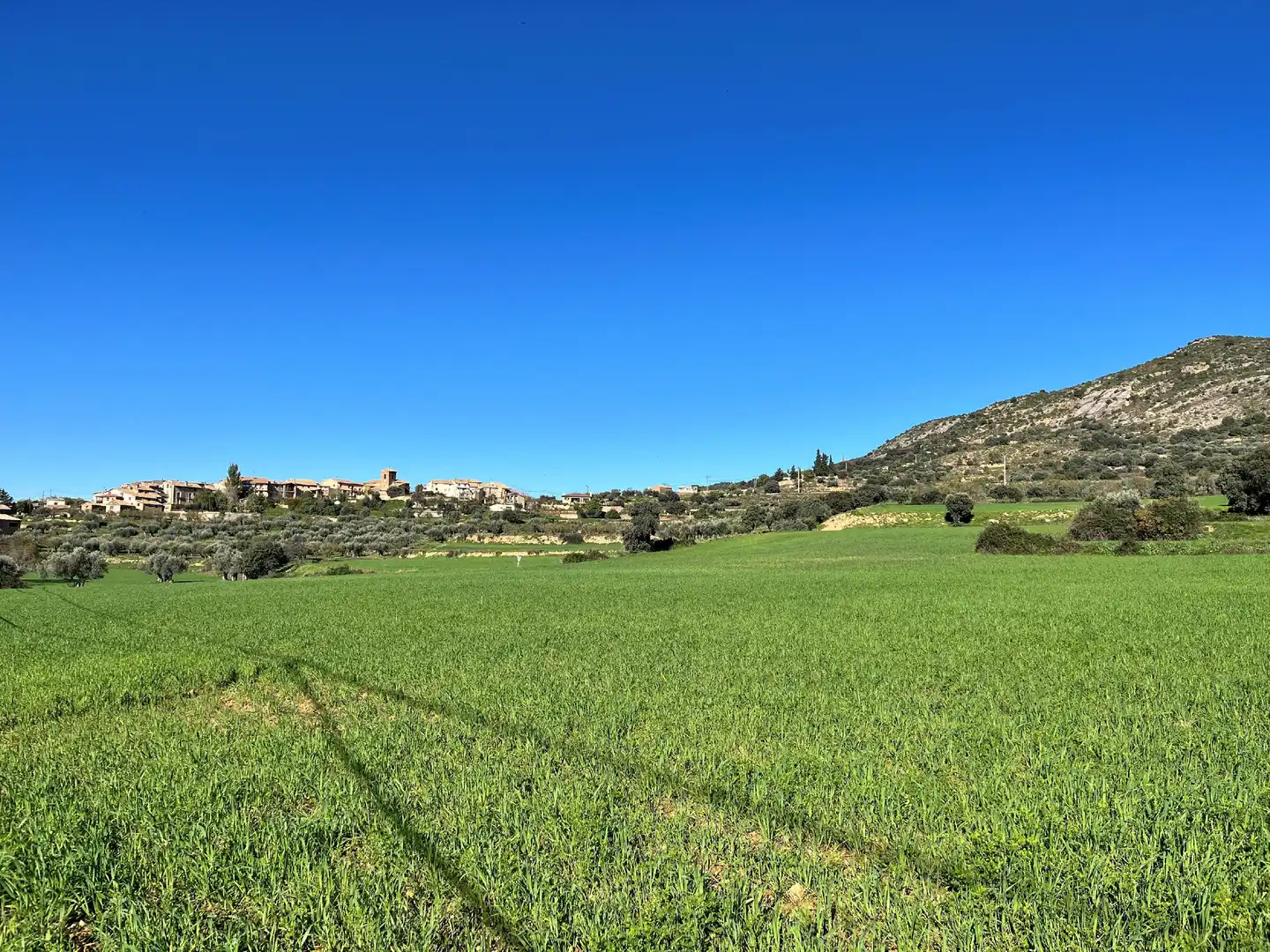 Terreni e lotti in vendita a Alquézar, imagen 10