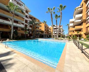 Swimming pool of Flat to rent in Torrevieja  with Air Conditioner and Swimming Pool