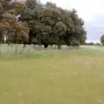 Rural land for sale in Topas, imagen 13