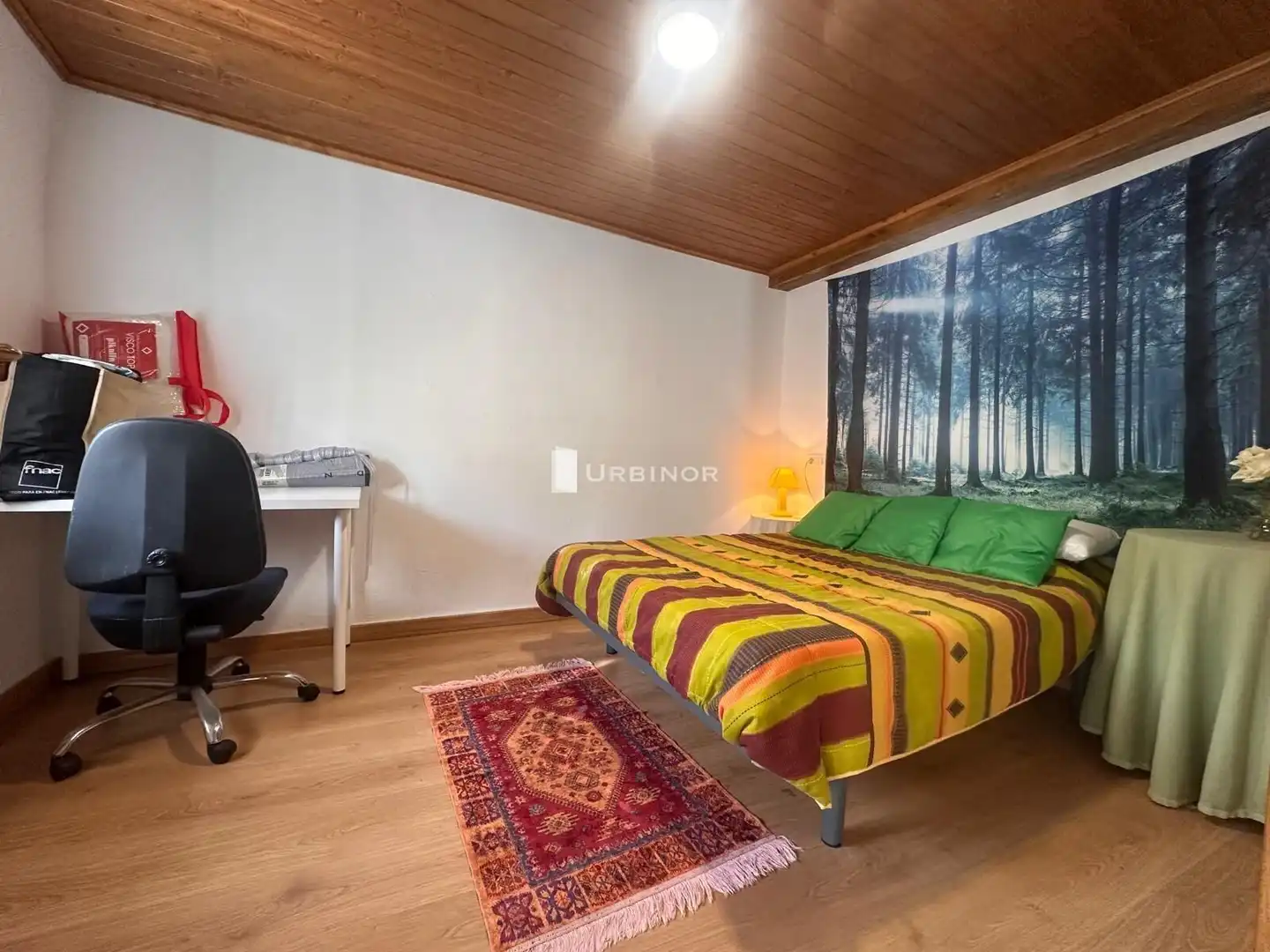 Casa o chalet en venta en Castro Caldelas