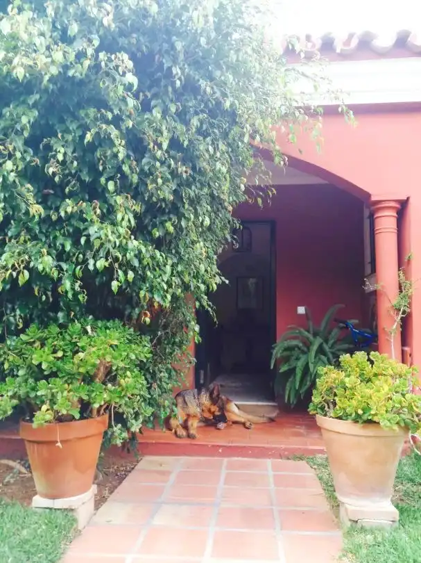 Haus mit Pool zum Verkauf in Las Chapas - El Rosario, imagen 3