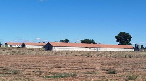 SE VENDE FINCA RÚSTICA CON GRANJA DE 10 HAS EN DAIMIEL, immagine 3