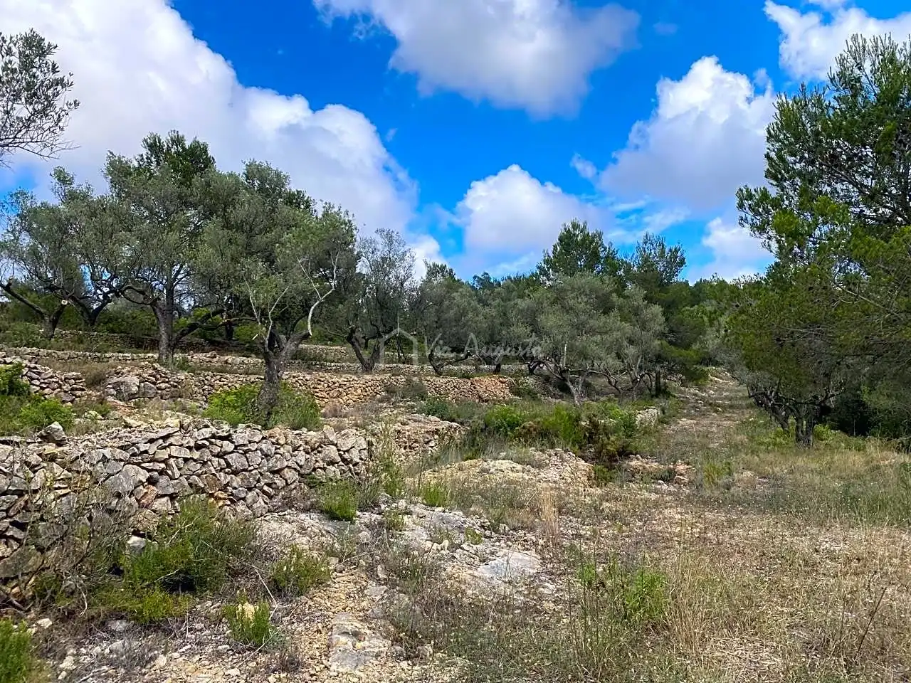 Terreno rustico in vendita a Malladetes, imagen 11