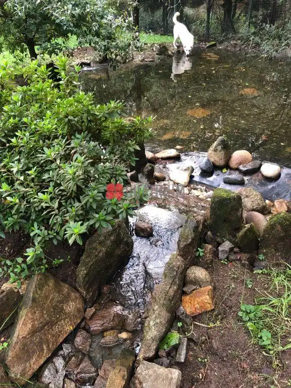 Jardí de Casa o xalet en venda en Ames amb Jardí privat