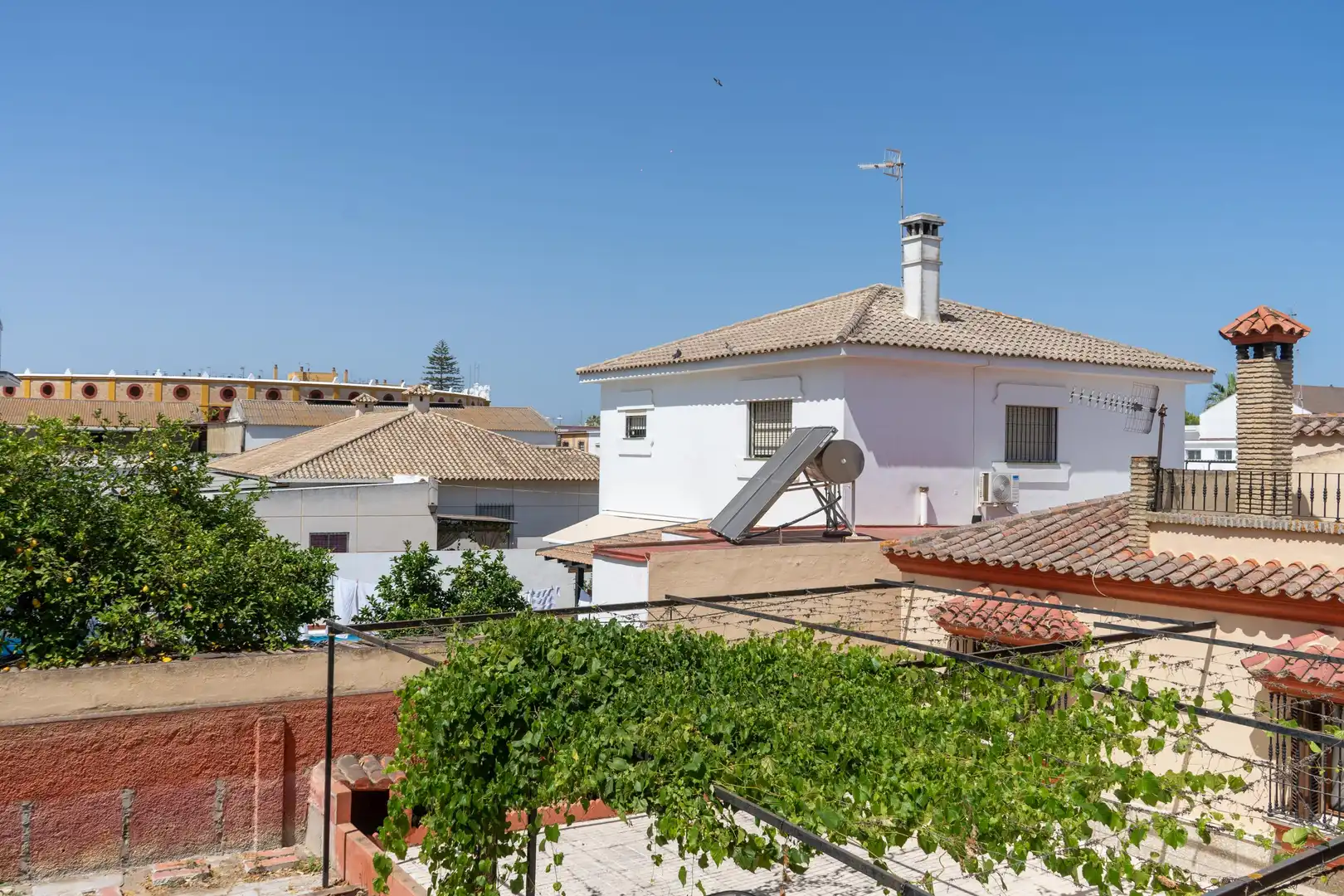 Vista exterior de Casa o xalet en venda en Sanlúcar de Barrameda amb Jardí privat
