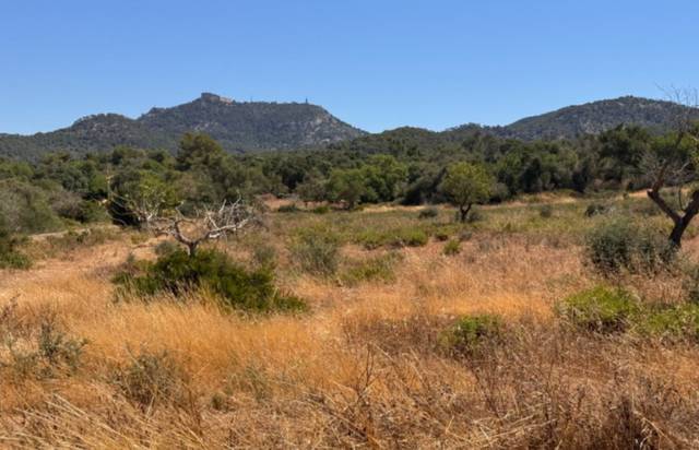 Terreno en Venta en Felanitx Poble