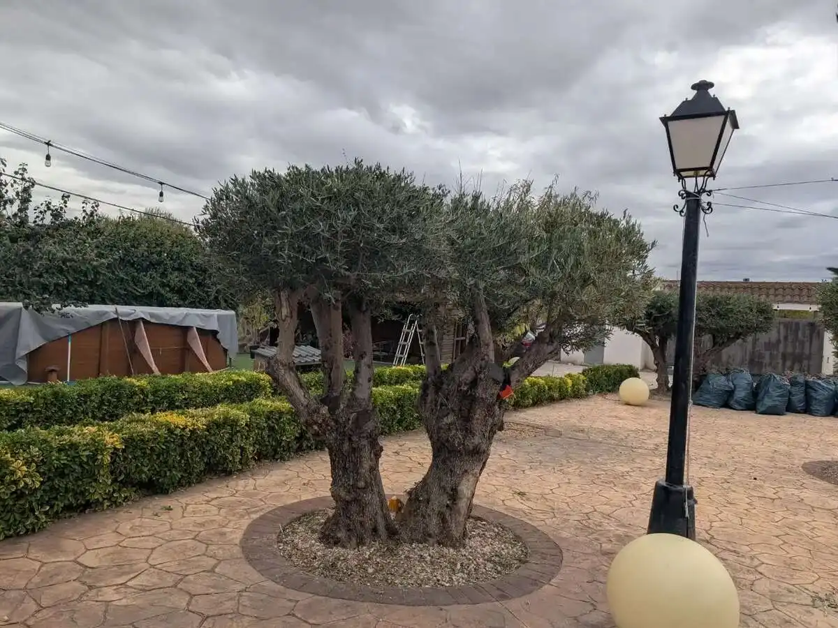 Xalet amb piscina en venda a Mejorada del Campo, imagen 27