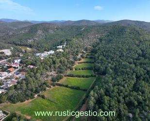 Vista exterior de Finca rústica en venda en Sant Pere de Ribes amb Jardí privat