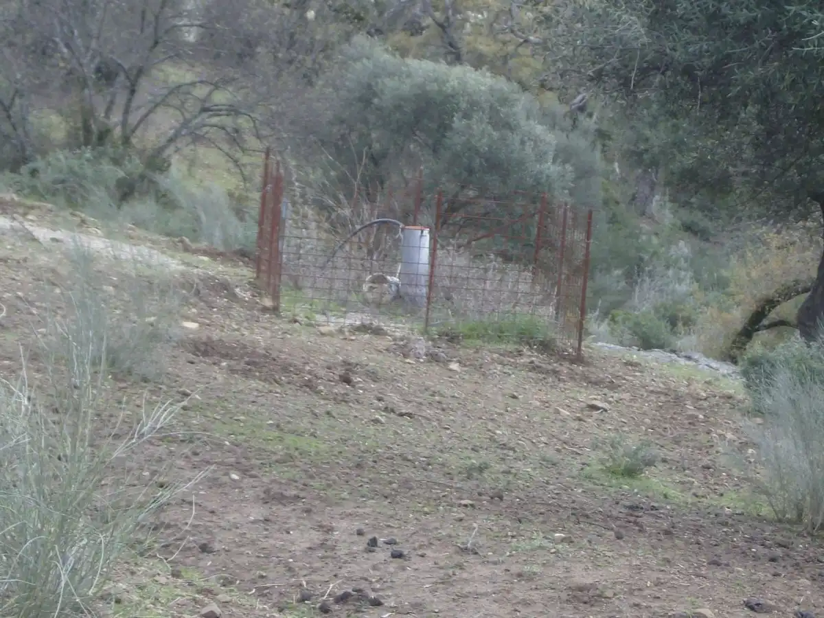 Casa rústica en venda a Benaocaz, imagen 16
