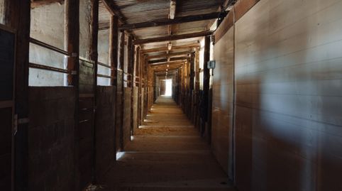Foto 5 de Finca rústica en venta en Camí de Can Ximelis, Can Fatjó - Sant Jordi Park - Plana del Castell, Rubí